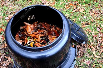Compost bin