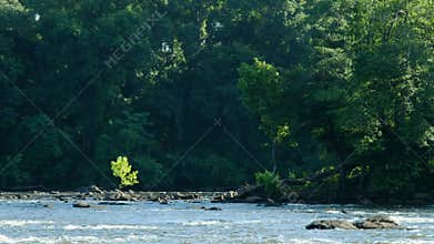 Lone tree illuminated by morning sun with swiftly moving river all around.