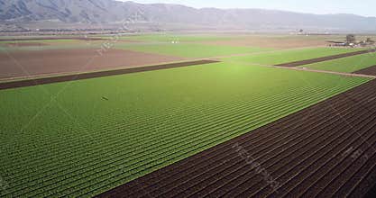 Aerial view of agricultural fields in California, United States. Salinas valley. USA