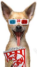 Funny Movie Theater Dog, Isolated