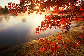 Autumn leaves over misty pond, CT
