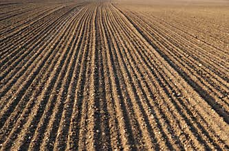 Plough agriculture field