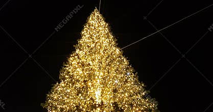 Golden christmas tree on night sky, holiday and festive