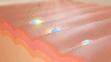 Animation skin layer and reduce up saggy skin cell.