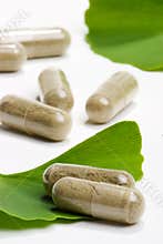 Ginkgo Biloba