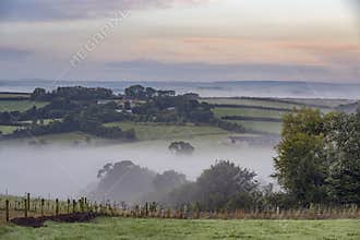 Hovering morning mist over Cornish farmland