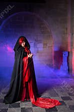 Gothic lady in medieval castle