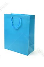 Shopping Bag
