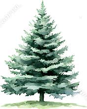 Christmas tree Watercolor clipart