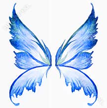 Blue fairy wings