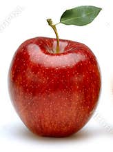Apple on white