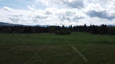 The Meadows Whisper: Washington\'s Open Fields from Above