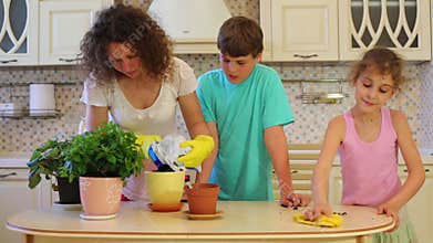Woman transplants flowers in pots, boy looks at