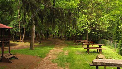 Picnic place in forest Vodno, Skopje
