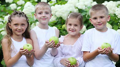 Two boys and two girls hold green apples near bush