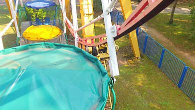 Areal slow motion footage of ever green trees. Nature