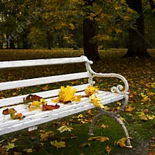 Autumn