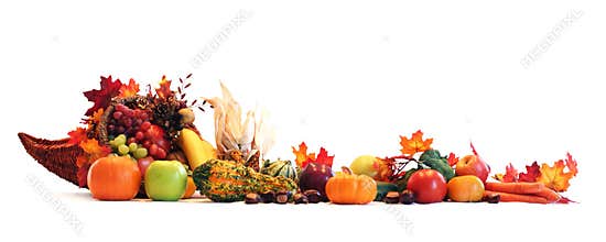 Cornucopia border