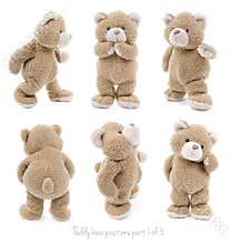 Teddy bear positions