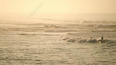 Surfers catch waves at sunset. Ocean sport adventure, surfers ride crest, sea spray surrounds. Wetsuit athletes paddle