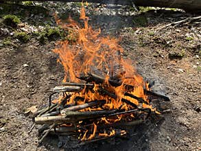a barbecue campfire is built in the forest