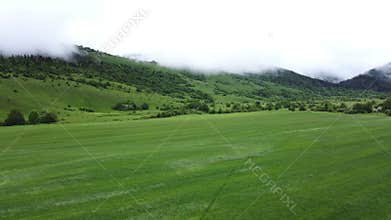 Landscape with green grass and mountains, wide aerial shot.