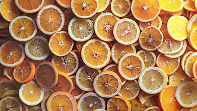 Freshly Sliced Oranges and Lemons Creating a Vibrant Background