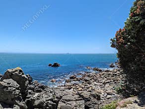 Coast of mount Maunganui