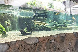 Aquarium
