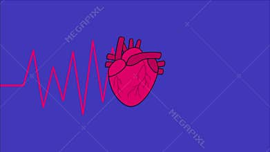 This captivating animation showcases the intricate structures of the human heart