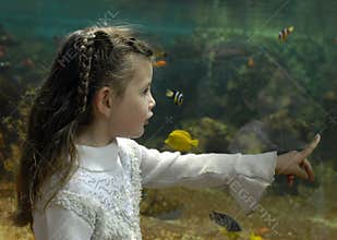 Little girl and aquarium