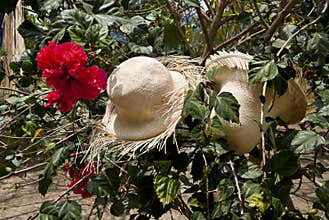 Special Display Of Straw Hats