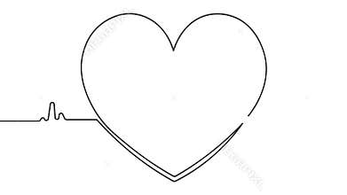 Minimal heart beat continuous line icon animation