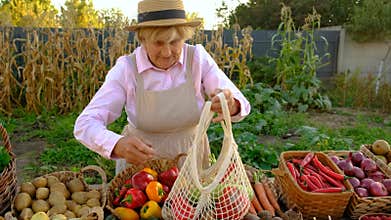 Farmers market with vegetables. Selective focus.