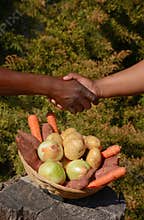 African business handshake