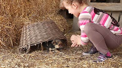 Little girl play with puppy