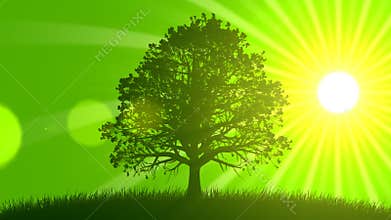 4 Seasons: Spring (Animated Background)