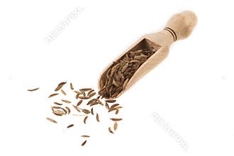 Caraway