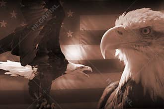 American flag and eagles