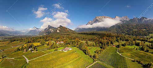 view of vineyards and mountains in the Swiss Alps near Maienfeld in late autumn