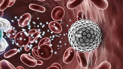 White Blood Cell Engulfing Pathogenic Bacteria in Arterial Blood Flow Detailed Microscopic View