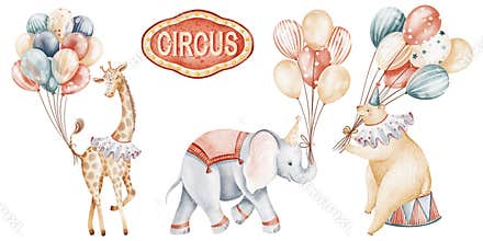 Circus Animals Watercolor Illustration For Baby Projects