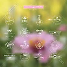 Set of badges and labels for beauty