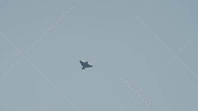 Dassault Rafale Fighter Jet Performs Aerobatics