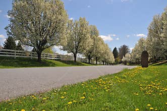 Spring in Pennsylvania