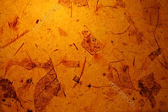 Dry leaves paper