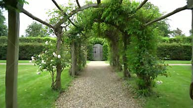 A tranquil tree-lined arched garden path creating a serene leafy tunnel
