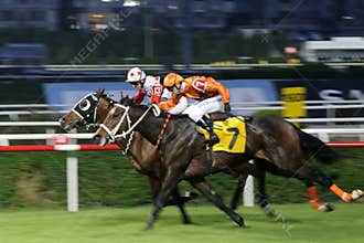 HORSE RACE FINISH