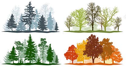 Forest trees winter spring summer autumn. 4 seasons vector illustration