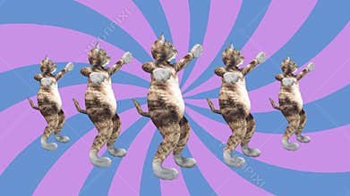 Comic pussycats waving paws and tail in an energetic dancing clip summer mood